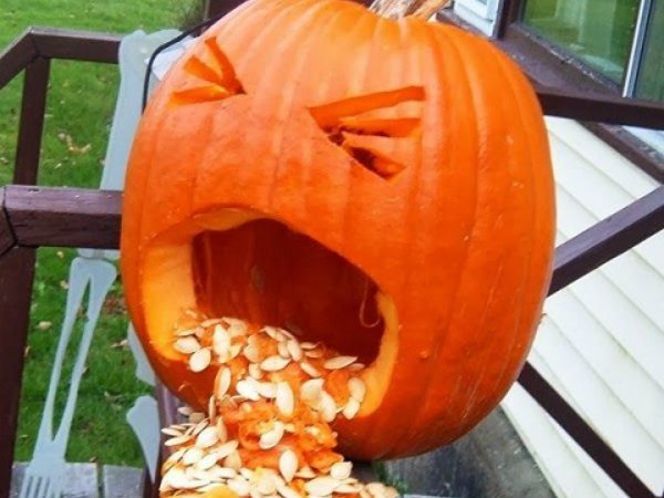 calabazas_halloween (9)