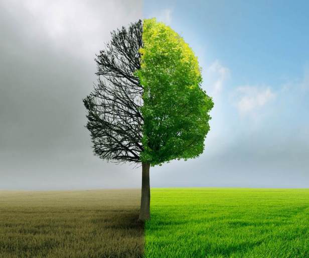 La ONU padece bipolaridad